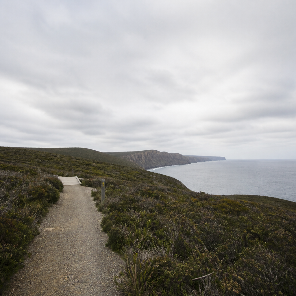 Three Capes Track
